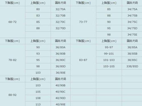 中国尺码和国际尺码的对比与选择指南