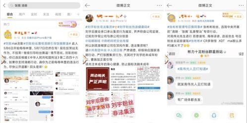 bj未通过审核的舞蹈玫瑰：探讨舞蹈艺术与审核机制的关系